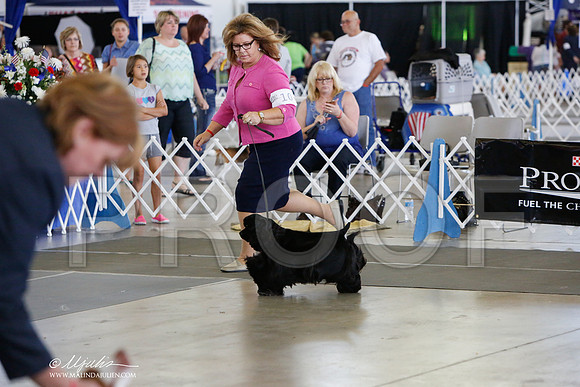 _JJ_1277-DallasJul2014-HR3