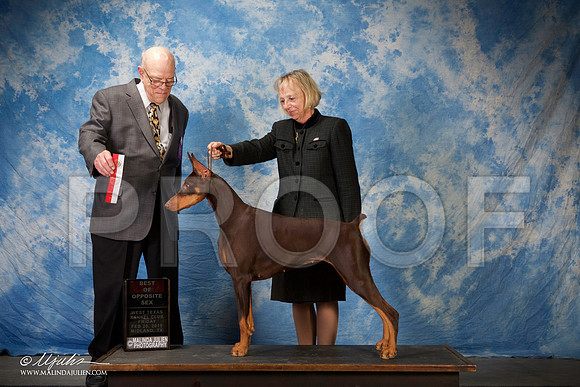SS2_0672-BeltonJan2015IABCA-HR3