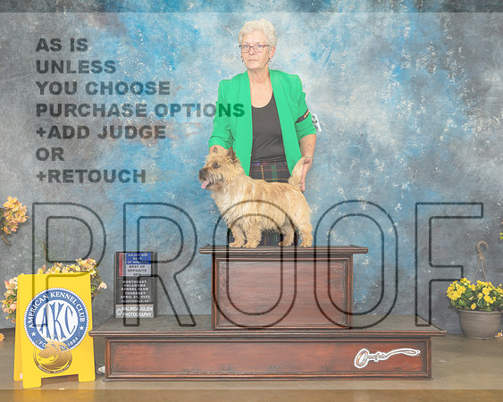 Cairn Terrier #11 Thur WDBOWBOS Judge Carol Jean Nelson-MMJ_8854-NWARK2022-HR3