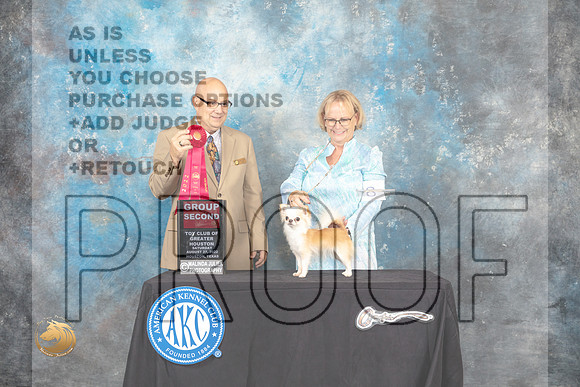 Chihuahua Long Coat #8 Sat G2 Judge Bradley Jenkins_MJ_0304_HstnTOY_2022_HR3