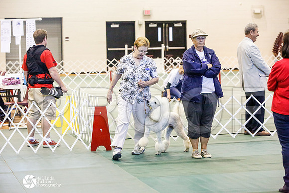 _JJ_4122-BsrCtyJun2014-HR3