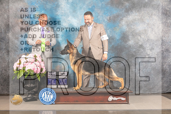 German Shepherd Dog #33 FRI BCH Judge?_MJ_5888_Houston_2022_HR3