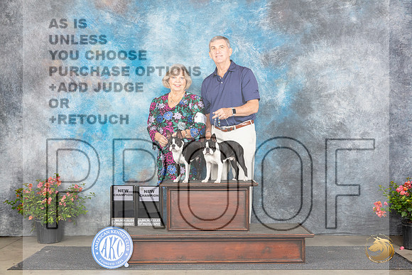 Boston Terrier # Sat CH Judge __JP_4767_San Antonio_2024_HR3