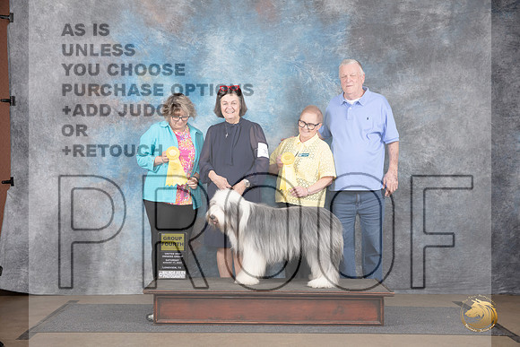 Bearded Collie #307 G4 Sat Judge Brenda and Jennifer Landers__JP_2720_LongviewTX_2024_HR3