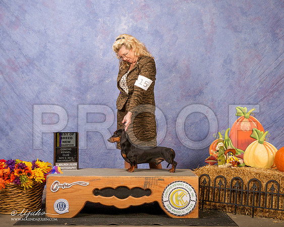 _CL_4581 - Version 2-SanAngelo2014-HR3
