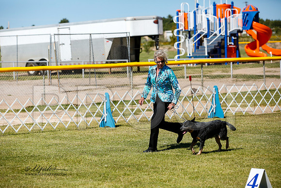 _JJ_3823-AlamogordoOct2014-HR3