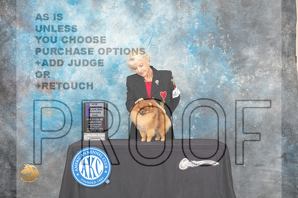 Pomeranian #43 Sat WB Judge Carol Prykosz_MJ_0116_HstnTOY_2022_HR3
