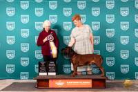 Barvarian Mt Scenthound #169 Sun RBISGCH Judge Kathryn Baxter