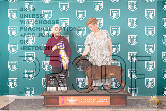 Barvarian Mt Scenthound #169 Sun RBISGCH Judge Kathryn Baxter__JP_2495_UKCEastern_2024_HR3