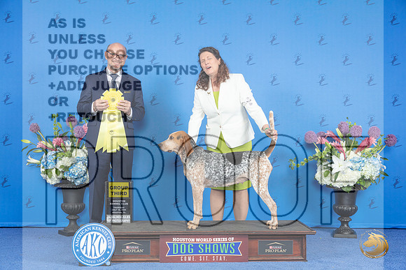 American English Coonhound # THUR G3 Judge Jamie Hubbard__JP_8604_Houston_2024_HR3