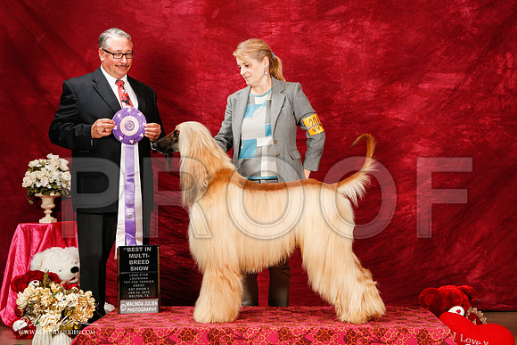 _ST_2165-2-BeltonJan2015-HR3