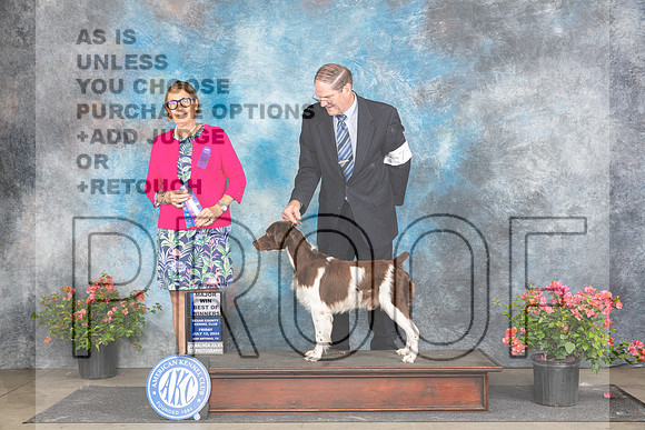 Brittany #7 Fri WDBOWM Judge Elizabeth ‘Beth’ Sweigart-_JP_4418e_San Antonio2024-HR3