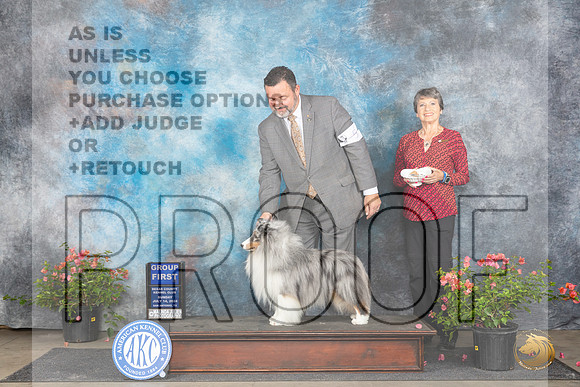 Shetland Sheepdog #5 Sun G1 Judge Wendy G Willhauck__JP_6222_San Antonio_2024_HR3