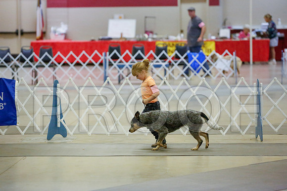 _JN_8908-AmarilloSept2014-HR3
