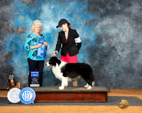 Dawn Marie Baletka marshall 2024