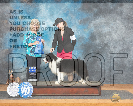 Border Collie #7 Sat G1 Judge Lisa Graser_JP_8340_Marshall2024-HR3