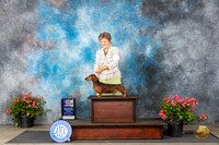 Dachshund Smooth #9 Fri WDM Judge Polly (Mrs Robert) D Smith