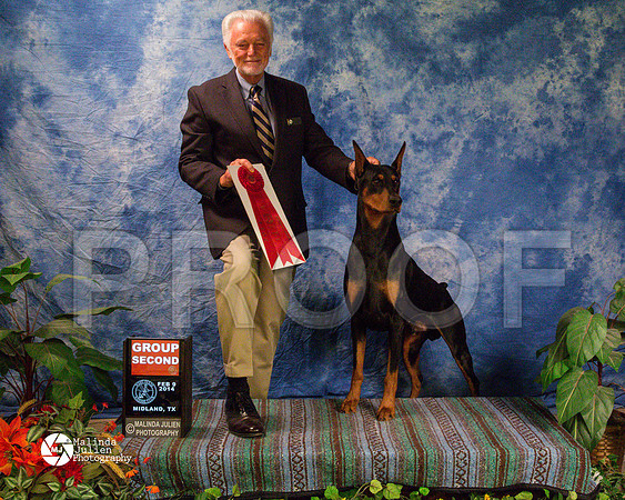dobe-9399-MidFeb14-HR