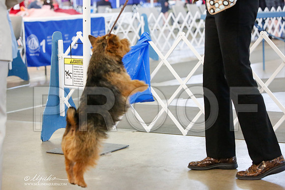 _JJ_8063-DallasJul2014-HR3