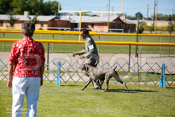 _JN_7365-AlamogordoOct2014-HR3