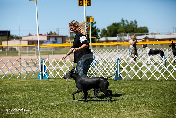 _JJ_8293-AlamogordoOct2014-HR3