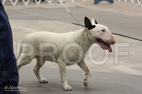 IMG_8056-Abilene2011-HR3