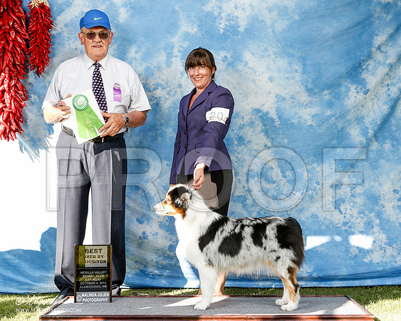 _ST_3099-2-AlamogordoOct2014-HR3