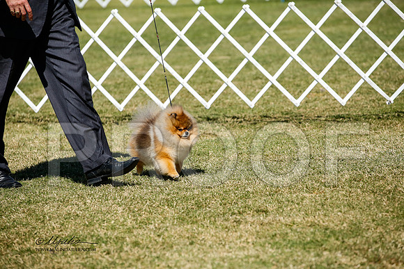 _JJ_3647-AlamogordoOct2014-HR3