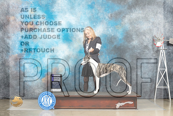 Whippet #6 Sun WB Judge Sharon Derrick_MJ_4860_Amarillo_2022_HR3