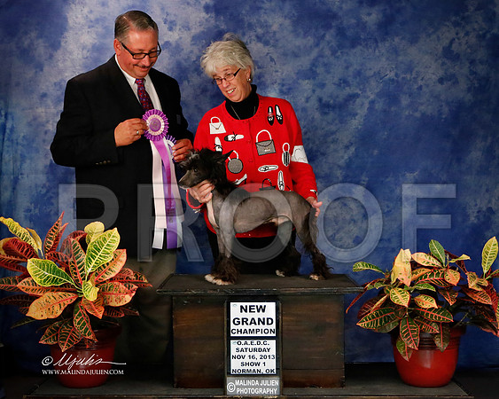 CC-8701-NormNov2013-HR