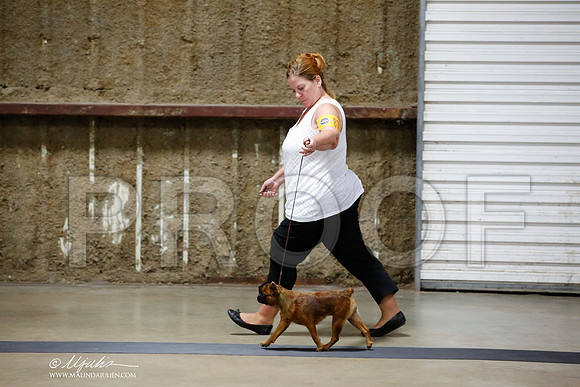_HR_4032-CnroeJul2014-HR3