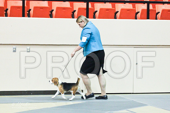 Beagle-8475LR
