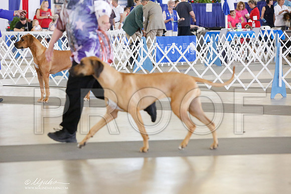 _JJ_0933-DallasJul2014-HR3