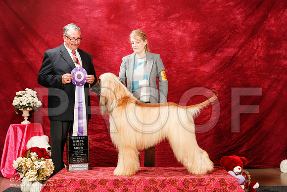 _ST_2196-2-BeltonJan2015-HR3