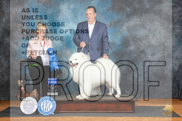 Samoyed #5 Fri G1 Judge Karen Hynnek__JP_7266_MARSHALL_2024_HR3