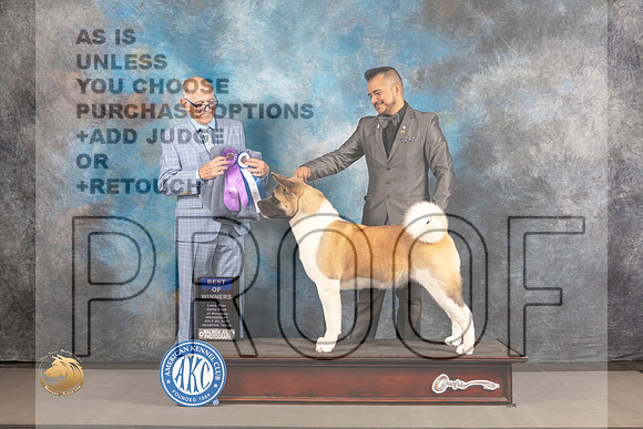 Akita #16 WED BOW Judge Donald Plummer_MJ_2375_Houston_2022_HR3