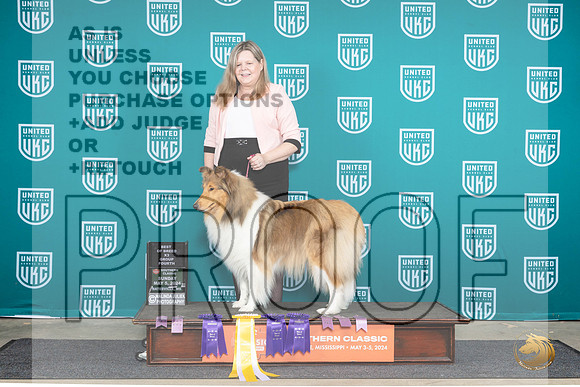 Rough Collie #158 FRI SAT SUN__JP_6669_BatesvilleMS_2024_HR3