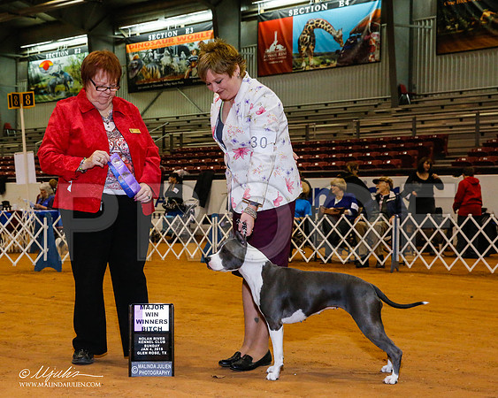 _RH_8906-2-GlenRoseJan2015-HR3