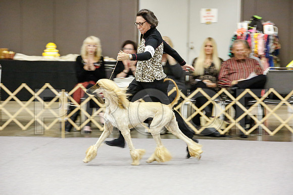 _JJ_8120-AfgBeltonOct2014-HR3