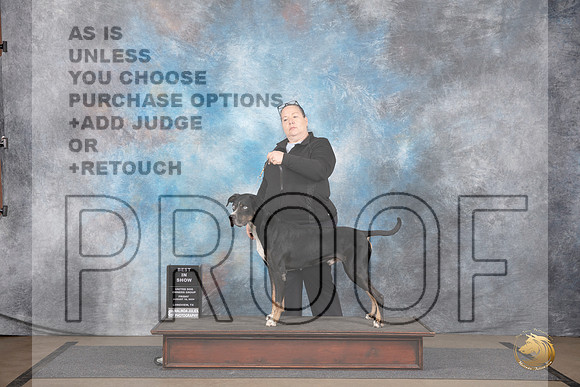 LCLD #BR549 Fri BIS Judge Malinda Julien__JP_2434_LongviewTX_2024_HR3