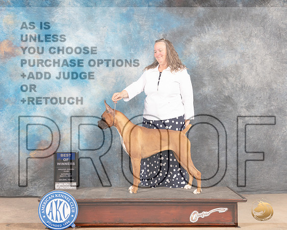 Boxer #10 Sat BOWWB Judge Terri Houston-MMJ_4201-Abilene2022-HR3