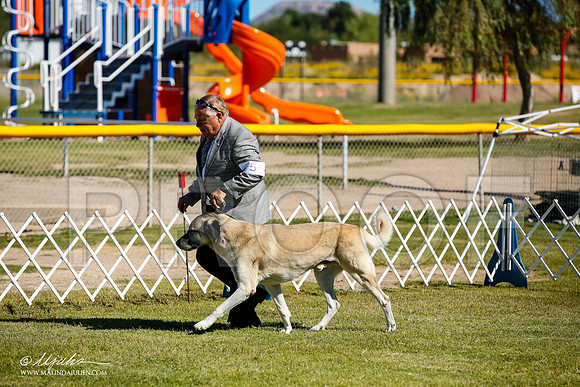_JJ_9820-AlamogordoOct2014-HR3