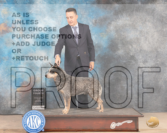 Australian Cattle Dog #5 Sat G4 Judge Pat Trotter-MMJ_4294-Abilene2022-HR3