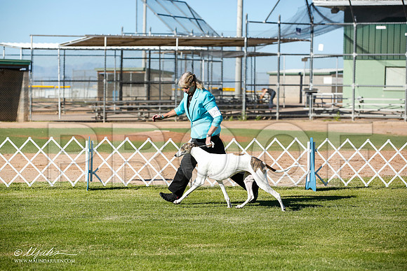 _JN_5641-AlamogordoOct2014-HR3