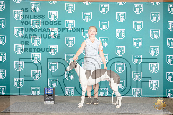 Greyhound #387 Sat BOB G1 Judge Malinda Julien__JP_1581_Longview WA_2024_HR3