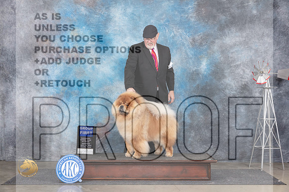 Chow #5 Sat G1 Judge Pat Trotter__JP_5940_Amarillo_2024_HR3