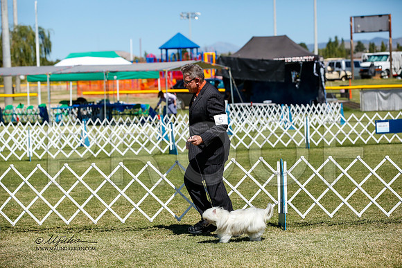 _JJ_3497-AlamogordoOct2014-HR3