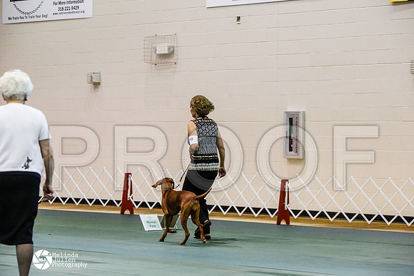 _JJ_4069-BsrCtyJun2014-HR3