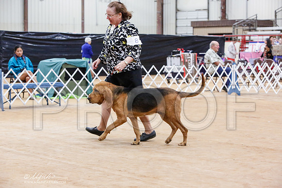 _JN_6339-TxArJun2014-HR3