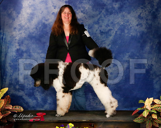 PdMC-8747-NormNov2013-HR